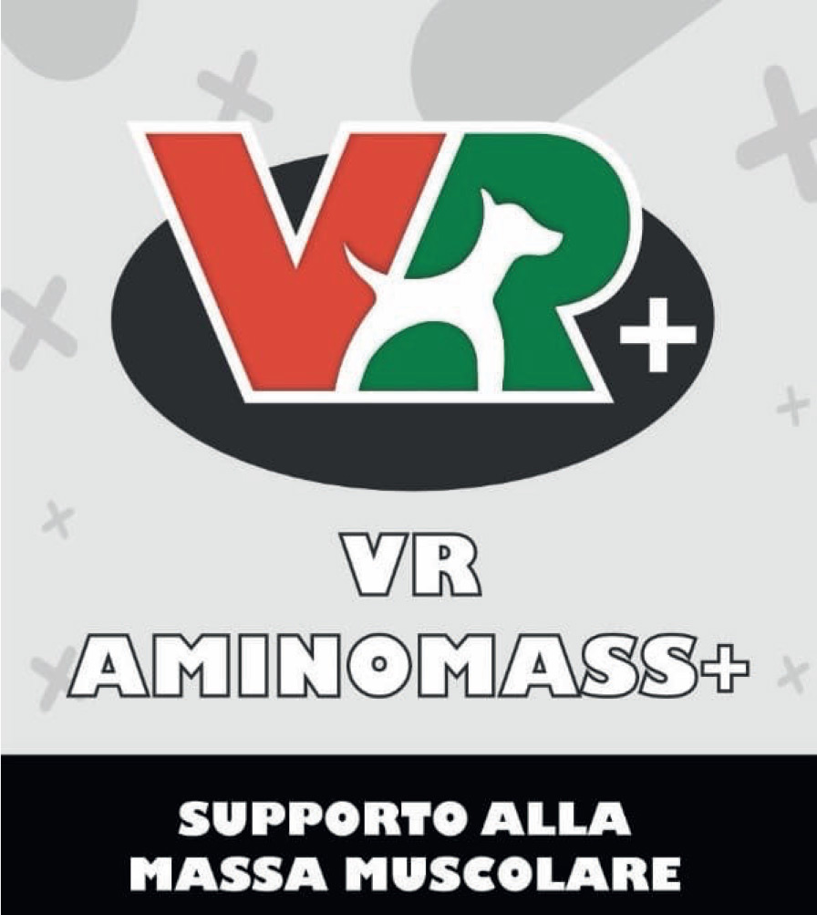 AMINOMASS+ – Supporto alla massa muscolare