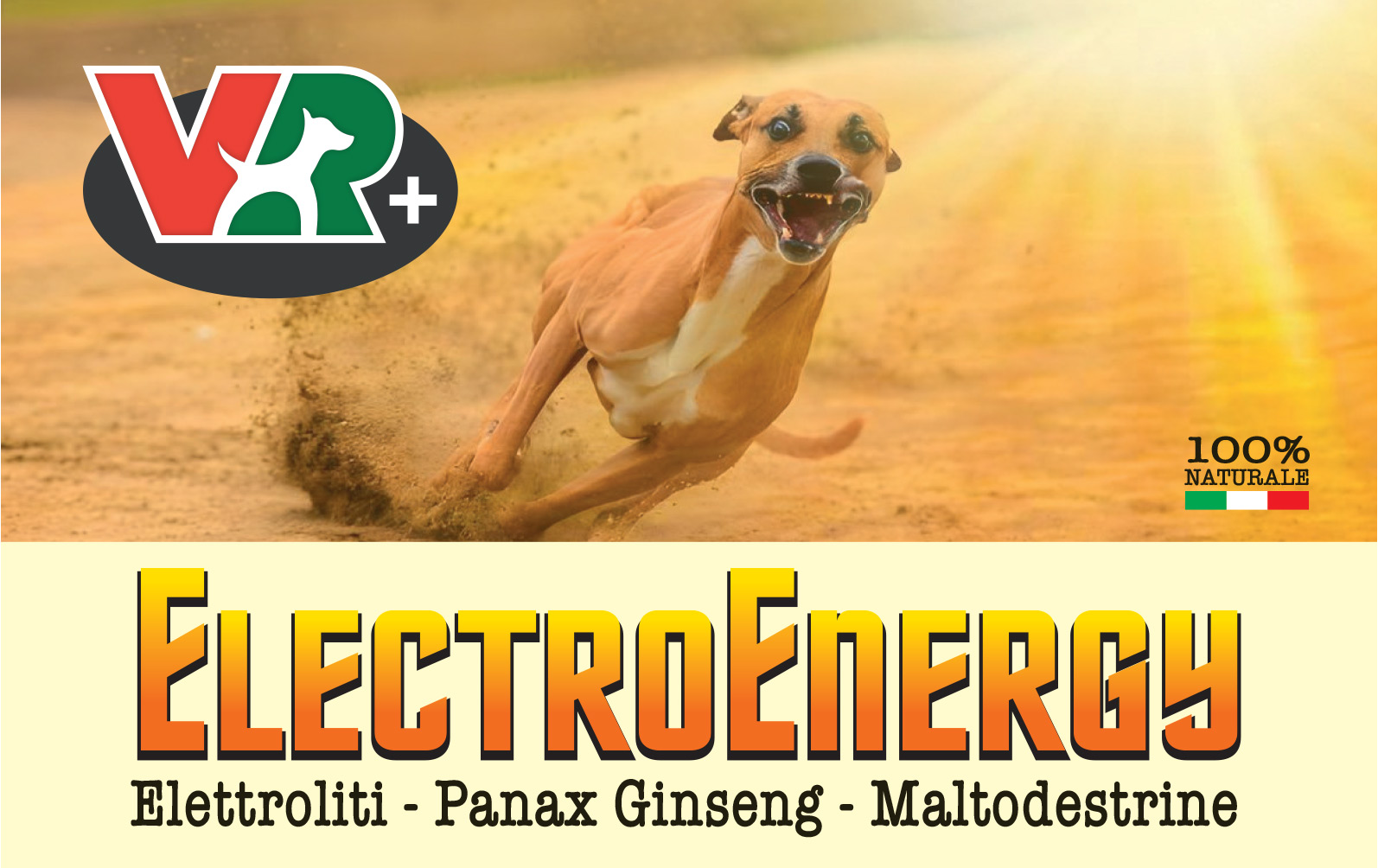 ElettroEnergy
