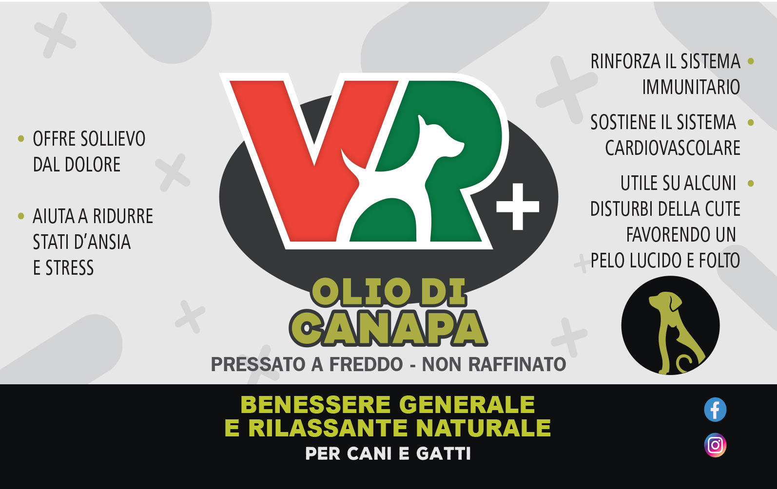 OLIO DI CANAPA