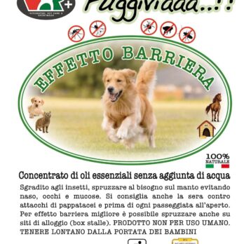 Fuggiviaaa..!!
