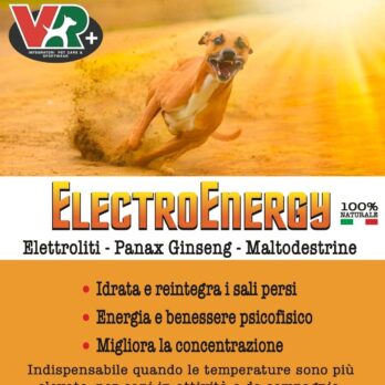 ElettroEnergy