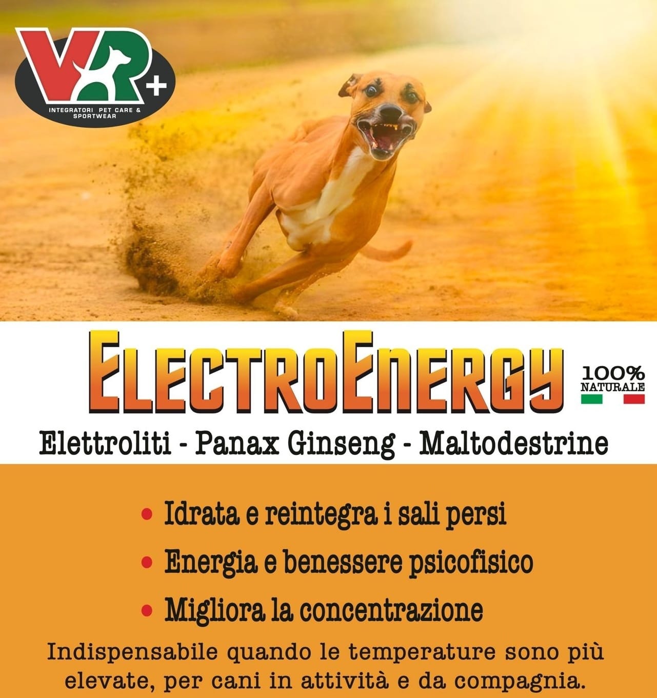ElettroEnergy