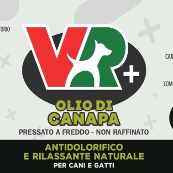 OLIO DI CANAPA - Antidolorifico e rilassante naturale per cani e gatti
