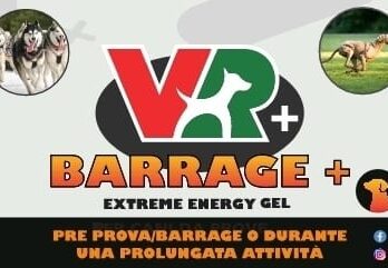 BARRAGE+ EXTREME ENERGY GEL - Per prova/barrage o durante una prolungata attività