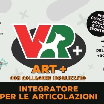 ART+ - Integratore per le articolazioni