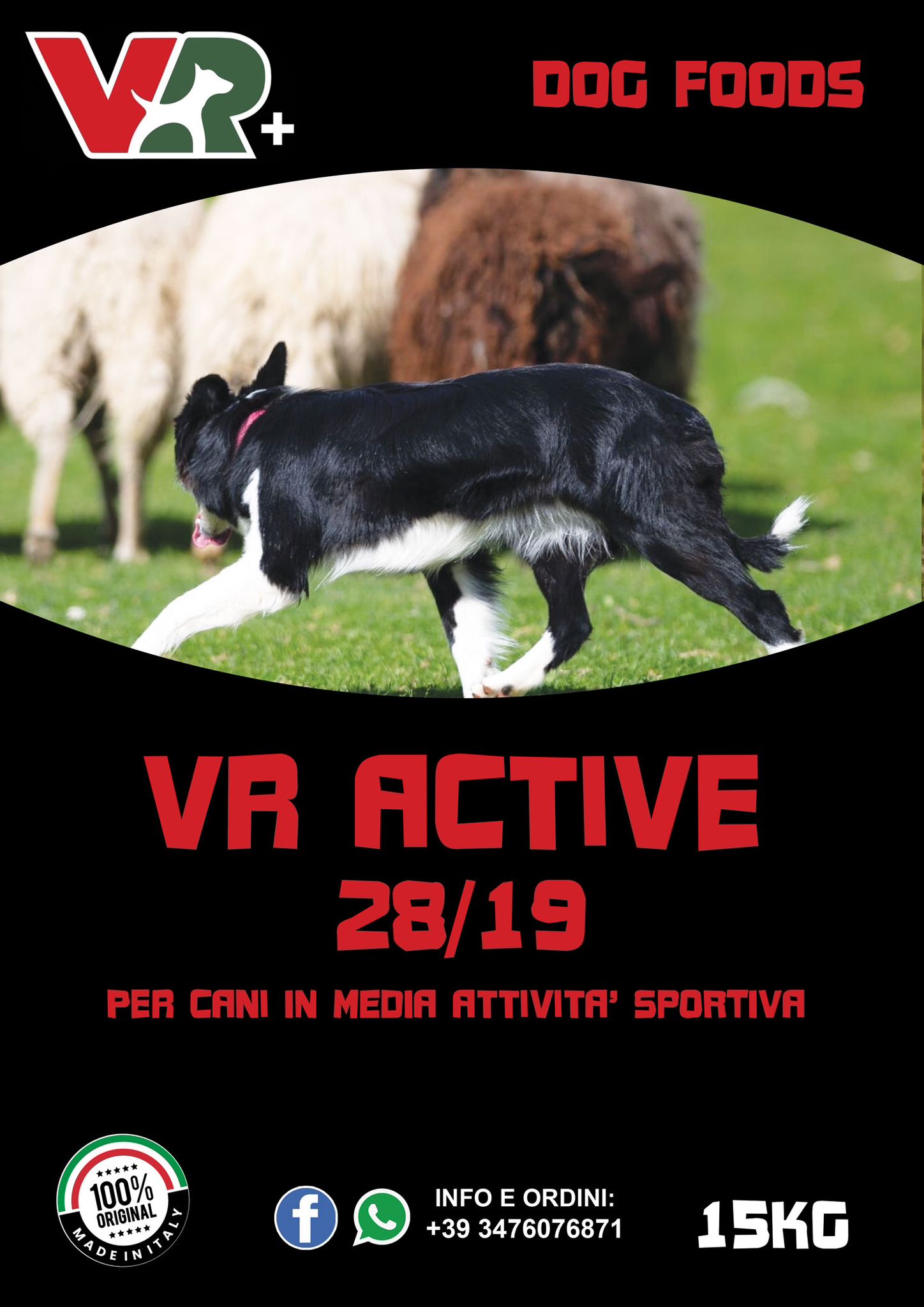 ACTIVE