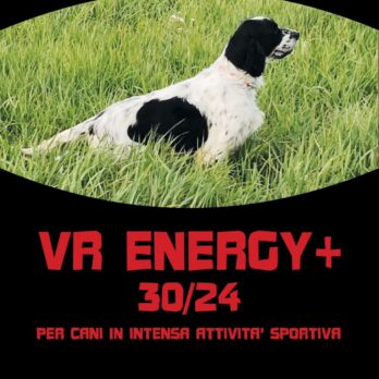ENERGY+