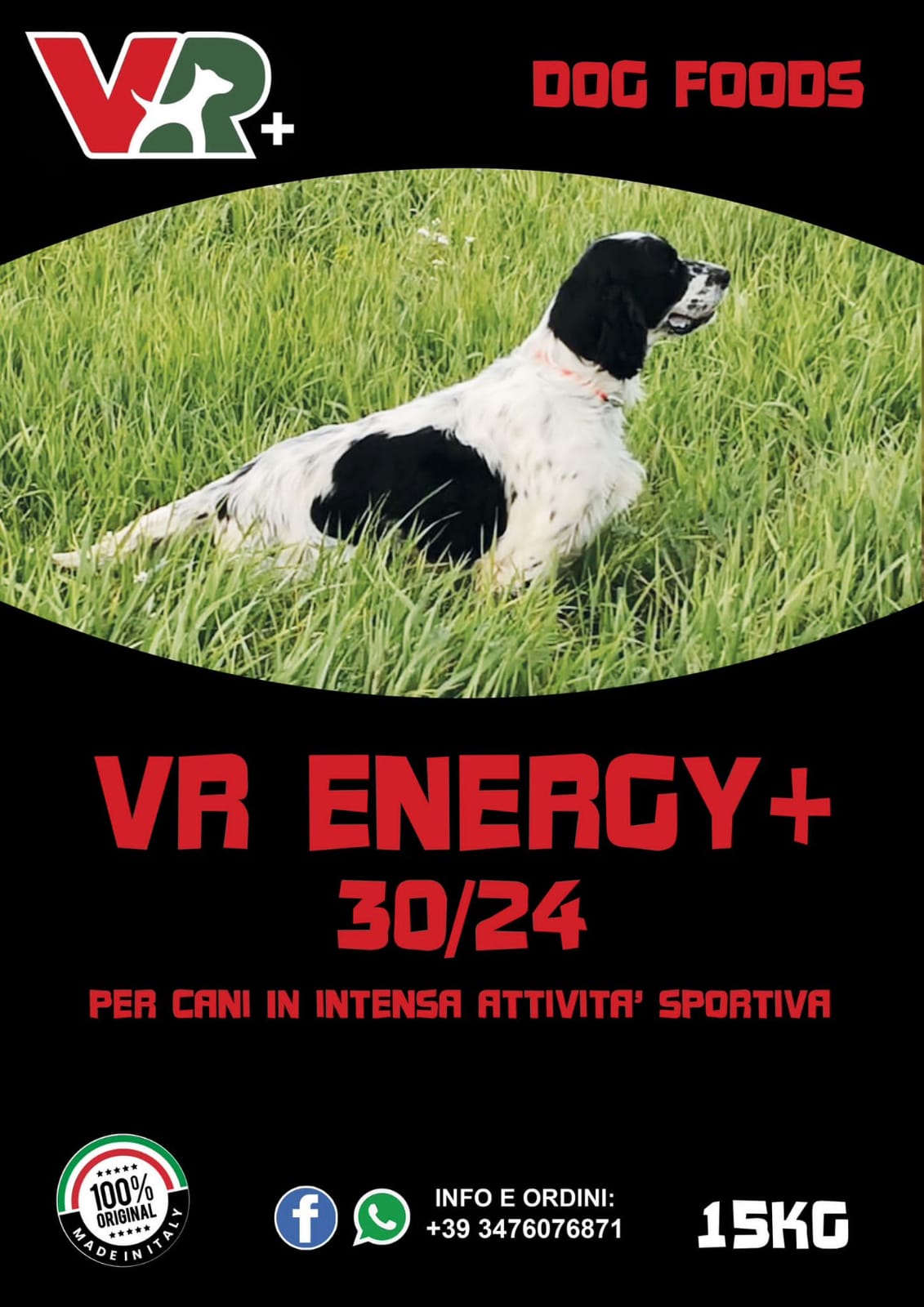 ENERGY+